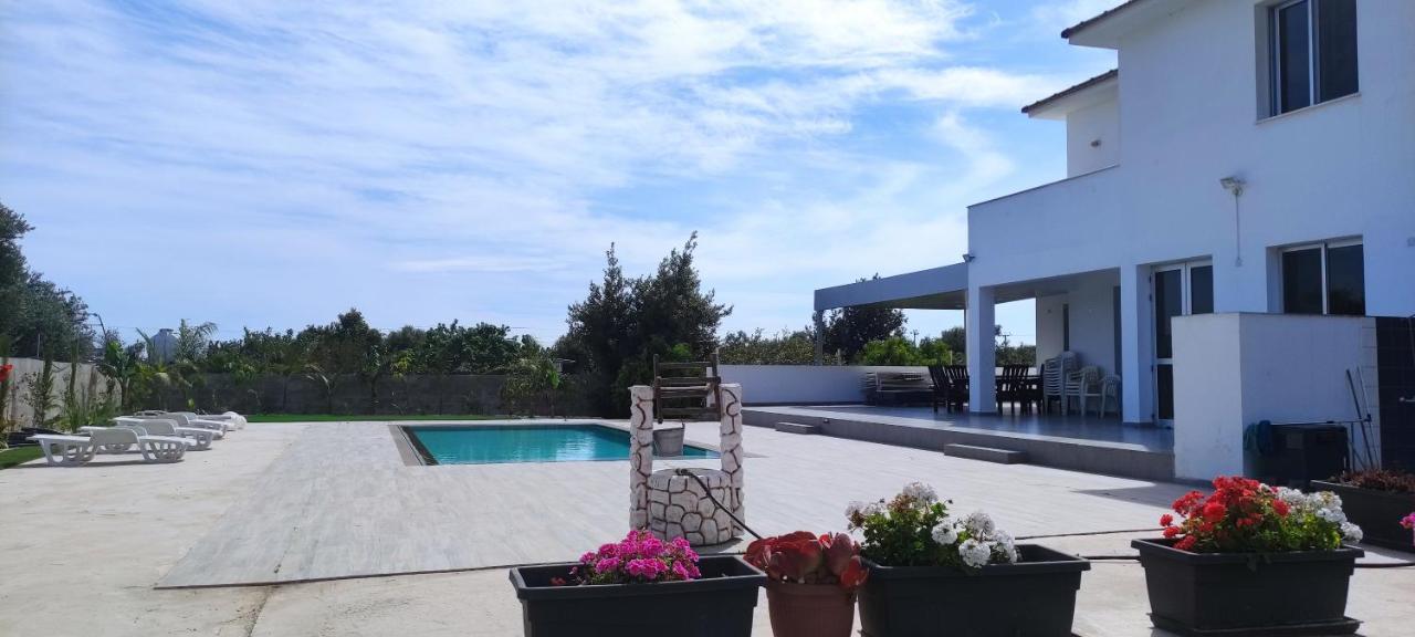 Kiti Village Villa, Cyprus, Salt-Water Pool, 6 Bedrooms, Larnaca المظهر الخارجي الصورة