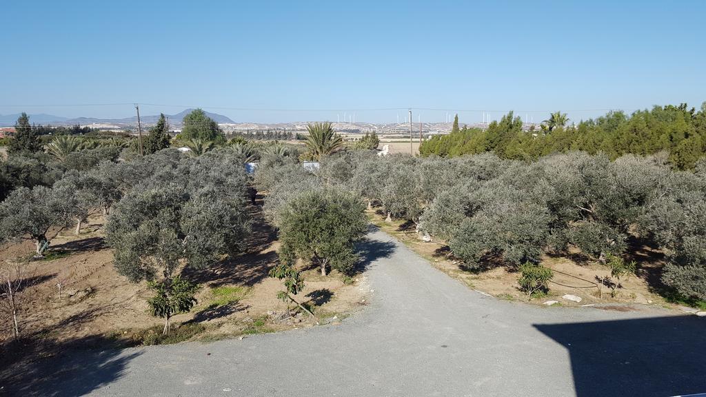 Kiti Village Villa, Cyprus, Salt-Water Pool, 6 Bedrooms, Larnaca المظهر الخارجي الصورة
