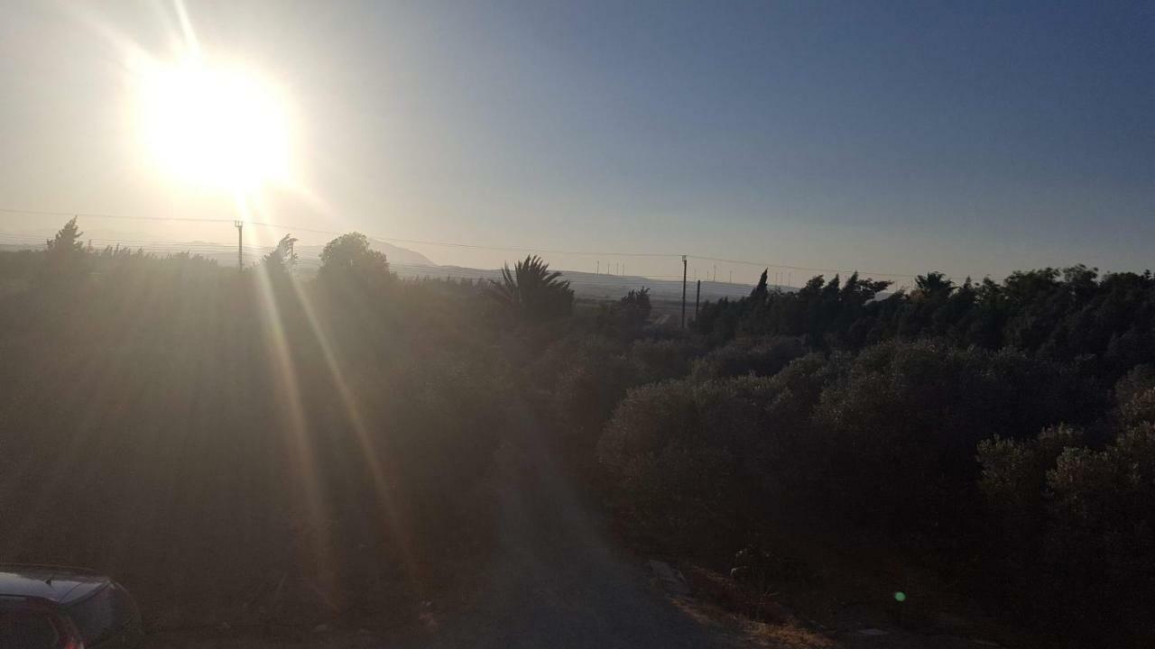 Kiti Village Villa, Cyprus, Salt-Water Pool, 6 Bedrooms, Larnaca المظهر الخارجي الصورة